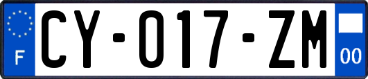 CY-017-ZM