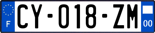 CY-018-ZM
