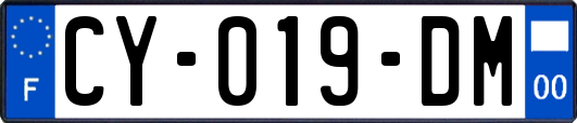 CY-019-DM