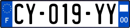 CY-019-YY