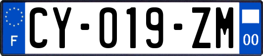 CY-019-ZM