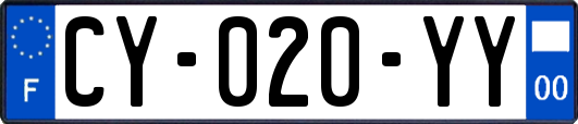 CY-020-YY