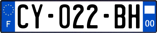 CY-022-BH