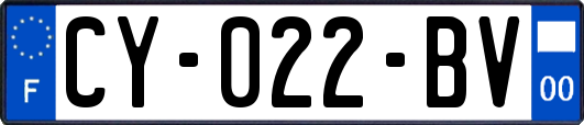 CY-022-BV