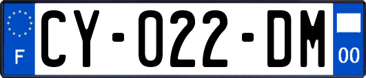 CY-022-DM