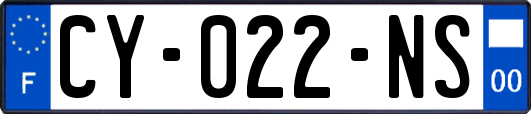 CY-022-NS