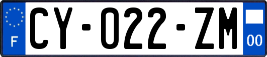 CY-022-ZM