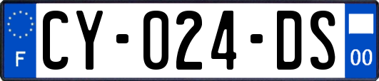 CY-024-DS