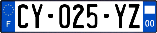 CY-025-YZ