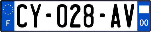 CY-028-AV