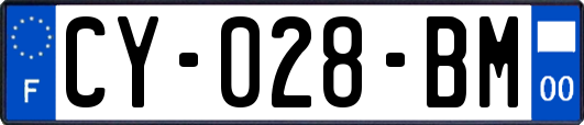 CY-028-BM