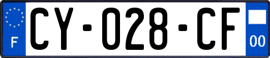 CY-028-CF