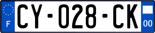 CY-028-CK