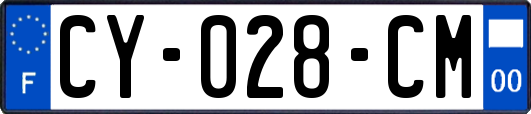 CY-028-CM