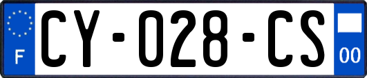 CY-028-CS