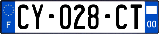 CY-028-CT