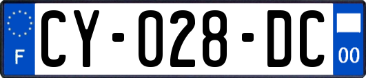 CY-028-DC