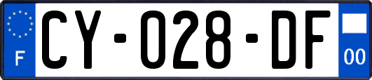 CY-028-DF