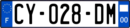 CY-028-DM