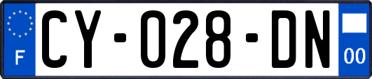 CY-028-DN