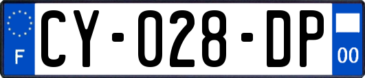 CY-028-DP