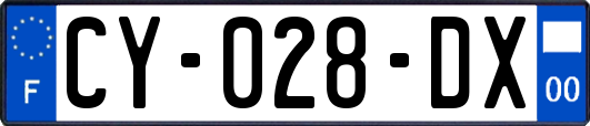 CY-028-DX