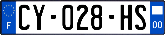 CY-028-HS