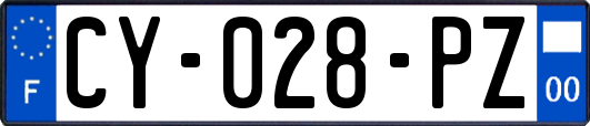 CY-028-PZ