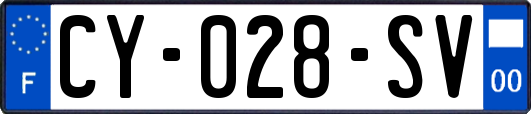 CY-028-SV