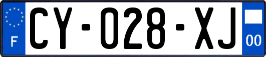 CY-028-XJ