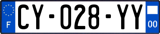 CY-028-YY