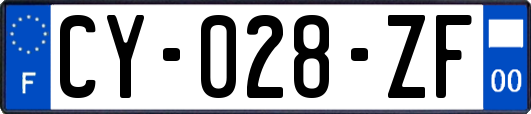 CY-028-ZF