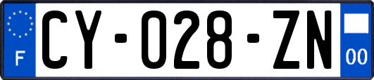 CY-028-ZN