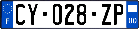 CY-028-ZP