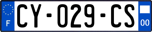CY-029-CS