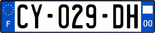 CY-029-DH