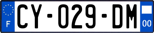 CY-029-DM
