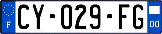 CY-029-FG