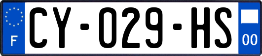 CY-029-HS