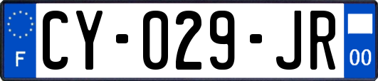 CY-029-JR