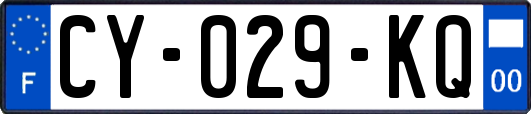 CY-029-KQ