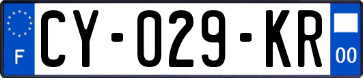 CY-029-KR