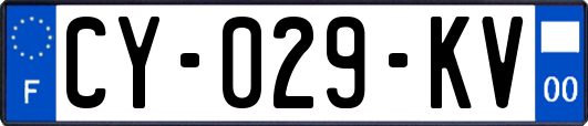 CY-029-KV