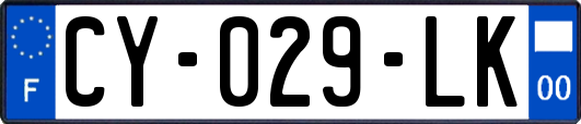 CY-029-LK