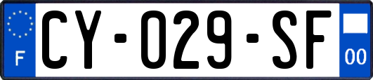 CY-029-SF