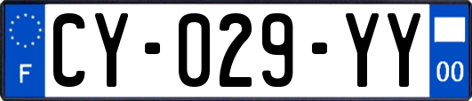 CY-029-YY