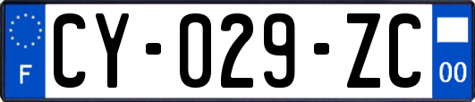 CY-029-ZC