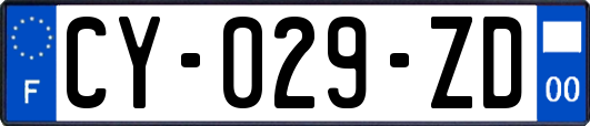 CY-029-ZD