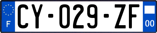 CY-029-ZF