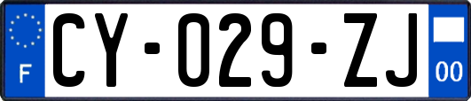 CY-029-ZJ